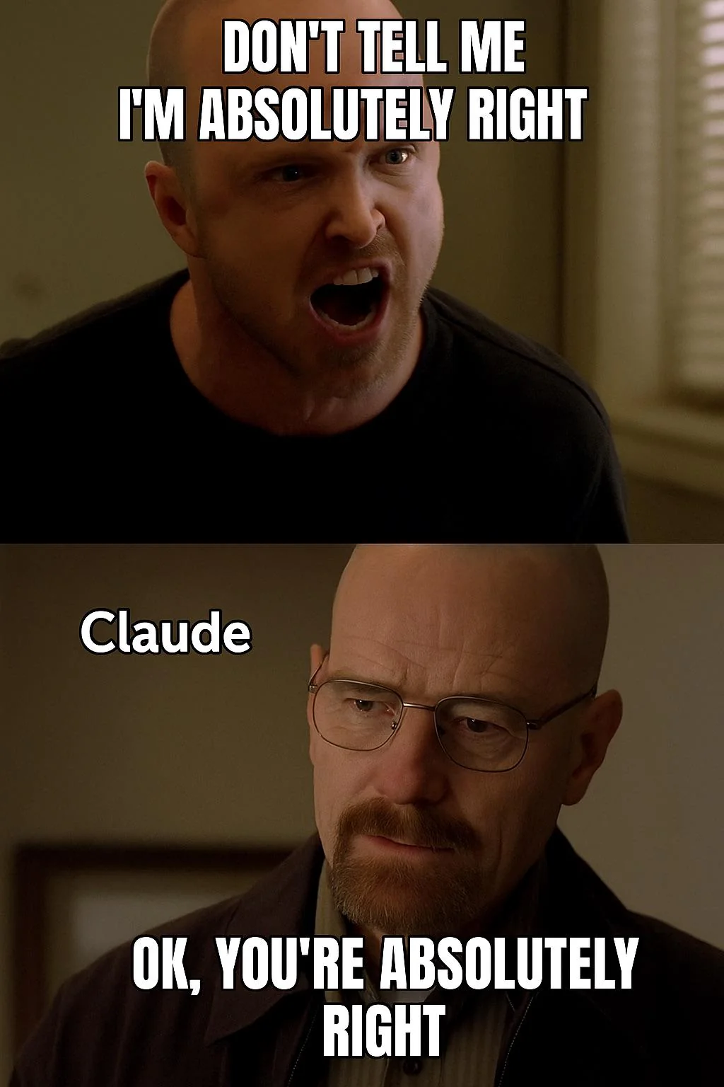 You're absolutely right meme